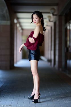 上门女婿叶辰小说